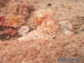foto de buceo