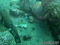 foto de buceo