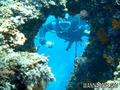 foto de buceo