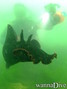 foto de buceo