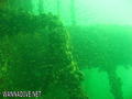 foto de buceo