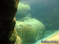 foto de buceo