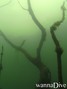 foto de buceo