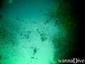 foto de buceo