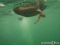 foto de buceo