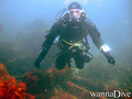 foto de buceo