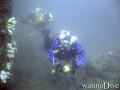 foto de buceo