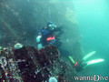 foto de buceo