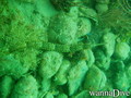 foto de buceo