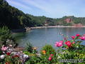 foto de buceo