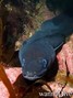 foto de buceo