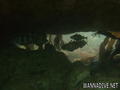 foto de buceo