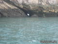 foto de buceo