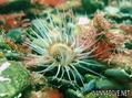 foto de buceo