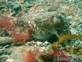 foto de buceo