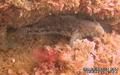 foto de buceo