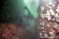 foto de buceo