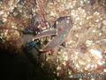 foto de buceo