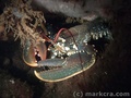 foto de buceo