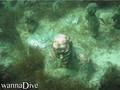 foto de buceo