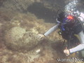 foto de buceo