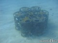 foto de buceo