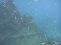 foto de buceo