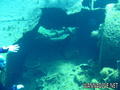 foto de buceo