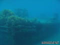 foto de buceo
