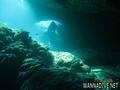 foto de buceo