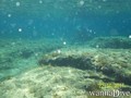 foto de buceo