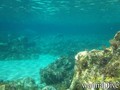 foto de buceo