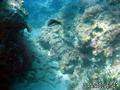 foto de buceo
