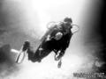 foto de buceo