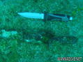 foto de buceo