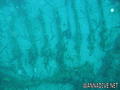 foto de buceo