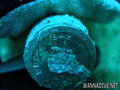 foto de buceo