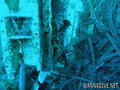 foto de buceo