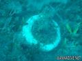 foto de buceo