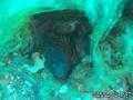 foto de buceo