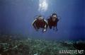 foto de buceo