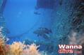foto de buceo