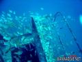 foto de buceo