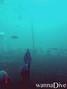 foto de buceo