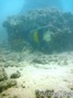 foto de buceo