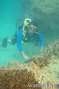 foto de buceo