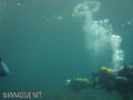 foto de buceo