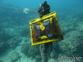 foto de buceo