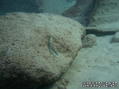 foto de buceo