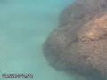 foto de buceo